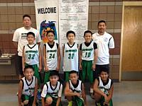 B05W SFVJACC Sharks